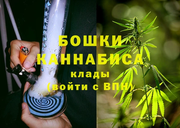 Альфа ПВП Богородск