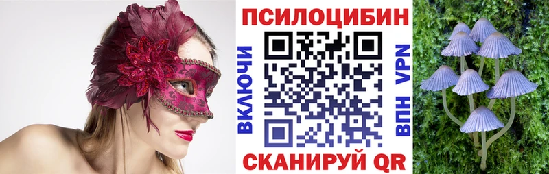 Псилоцибиновые грибы GOLDEN TEACHER Пестово