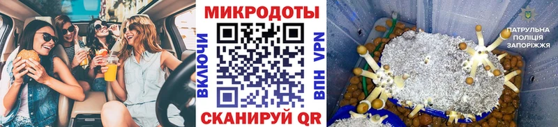 даркнет сайт  Пестово  Псилоцибиновые грибы Cubensis 